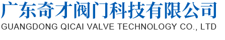 廣東奇才閥門(mén)科技有限公司